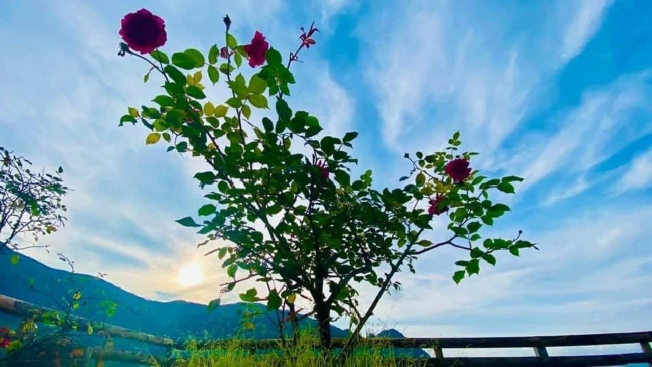 Ha Lu Homestay Lao Cai Esterno foto